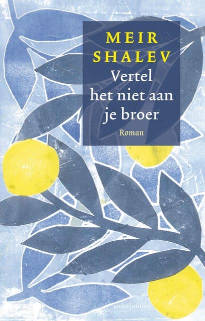 Vertel het niet aan je broer – omslag van het luisterboek van Meir Shalev