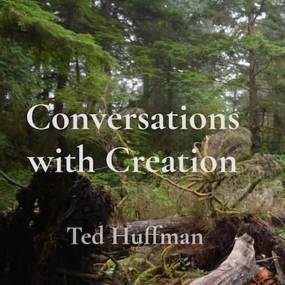 Conversations with Creation