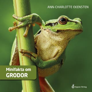 Minifakta om grodor