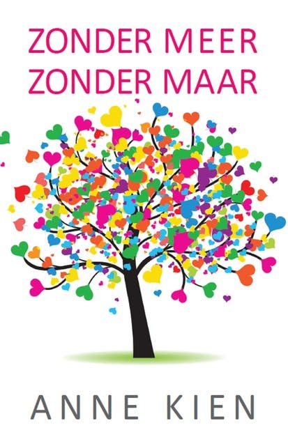 Zonder meer, zonder maar – omslag van het luisterboek van Anne Kien
