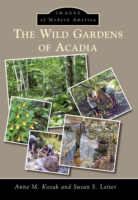 The Wild Gardens of Acadia – omslag til lydbogen af Anne M Kozak, Susan S Leiter