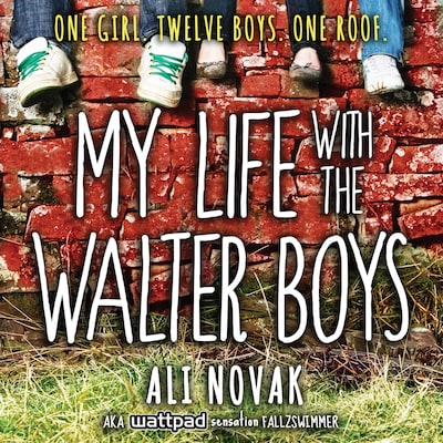 My Life With The Walter Boys