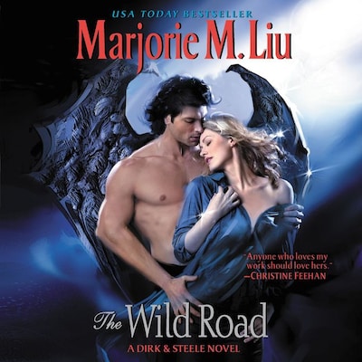 The Wild Road
