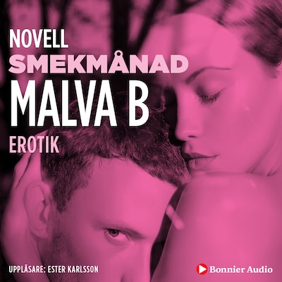 Smekmånad : en novell ur Begär