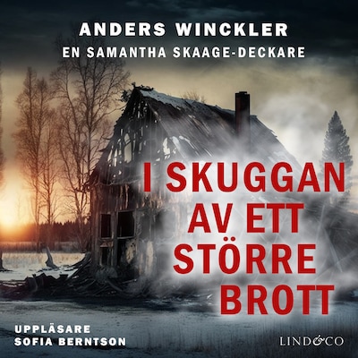 I skuggan av ett större brott