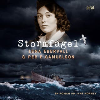 Stormfågel – omslag till ljudboken av Lena Ebervall & Per E Samuelson