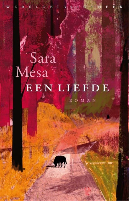 Een liefde – omslag van het luisterboek van Sara Mesa
