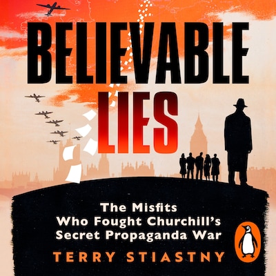 Believable Lies – omslag til lydbogen af Terry Stiastny