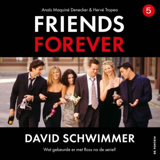David Schwimmer: Wat gebeurde er met Ross na de serie?