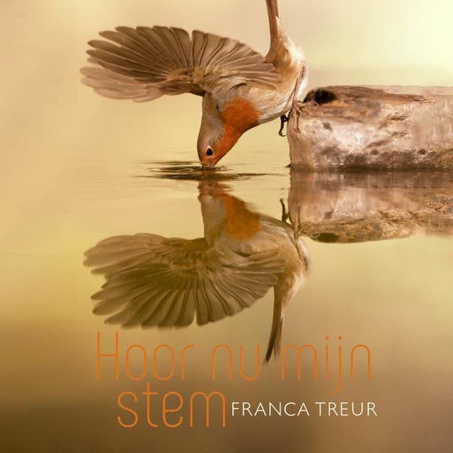 Hoor nu mijn stem – omslag van het luisterboek van Franca Treur