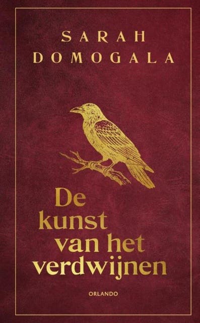 De kunst van het verdwijnen – omslag van het luisterboek van Sarah Domogala