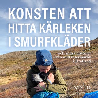 Konsten att hitta kärleken i smurfkläder – omslag till ljudboken av Anna Pamuk