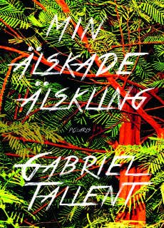 Min älskade älskling