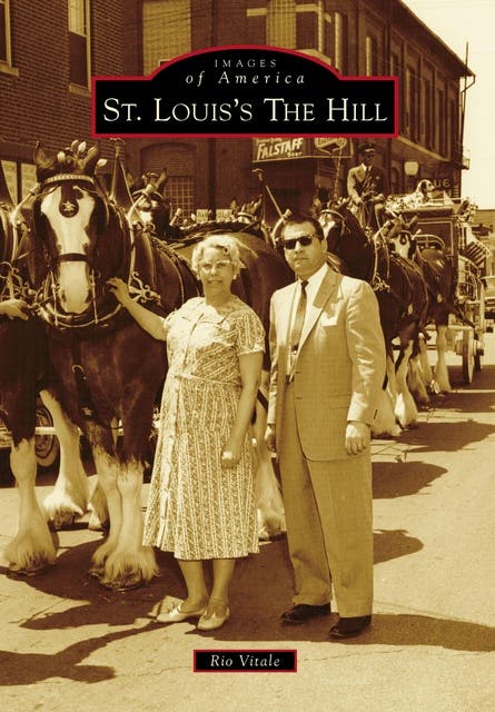 St. Louis's The Hill – omslag til lydbogen af Rio Vitale
