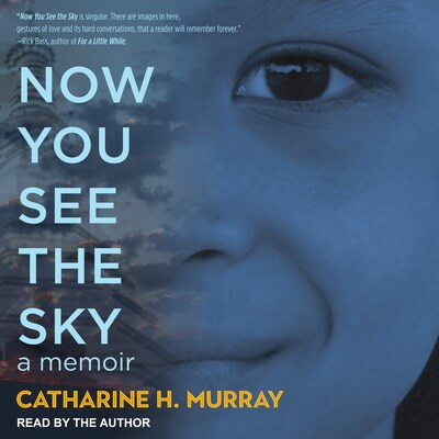 Now You See the Sky – omslag til lydbogen af Catharine H. Murray