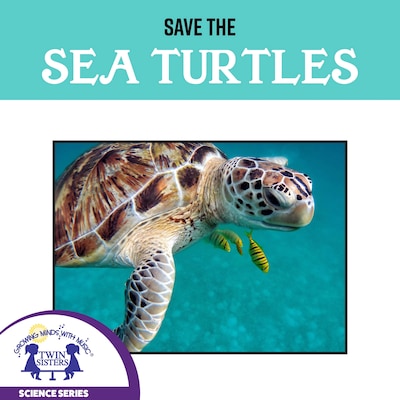 Save The Sea Turtles