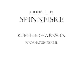Spinnfiske
