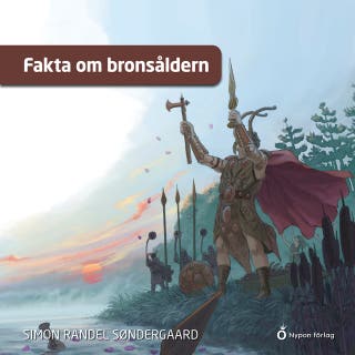Fakta om bronsåldern