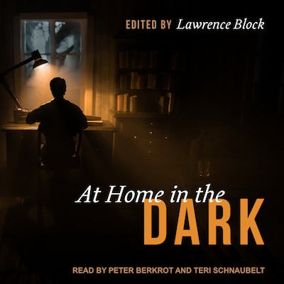 At Home in the Dark – omslag til lydbogen af Unknown Author