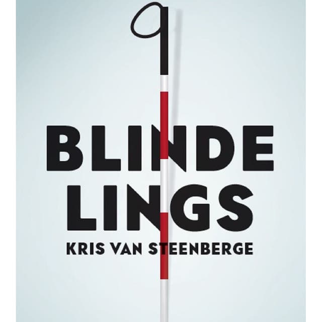 Blindelings – omslag van het luisterboek van Kris Van Steenberge