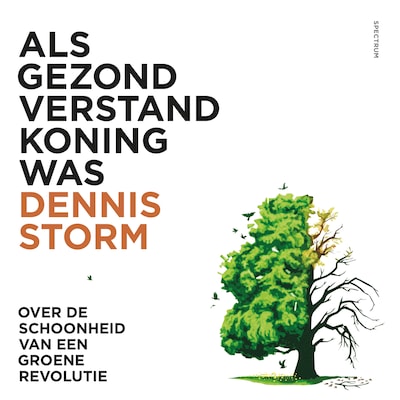 Als gezond verstand koning was – omslag van het luisterboek van Dennis Storm
