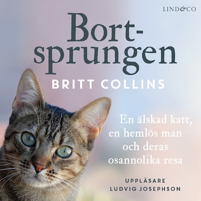 Bortsprungen