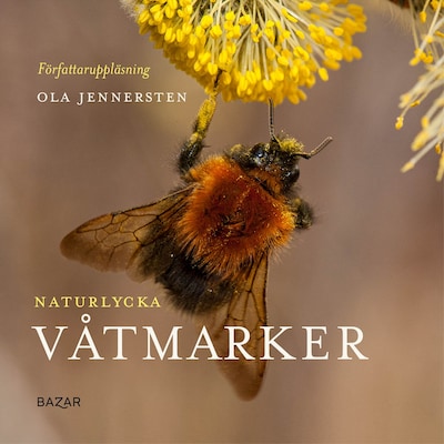Naturlycka - Våtmarker – omslag till ljudboken av Ola Jennersten