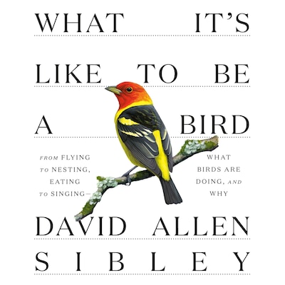 What It's Like to Be a Bird – okładka audiobooka, autor David Allen Sibley