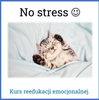 NO STRESS – okładka audiobooka, autor Sławomir Luter