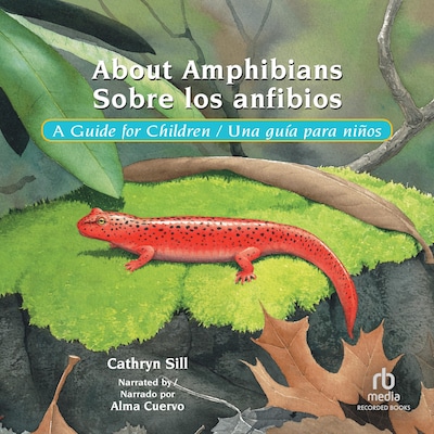 About Amphibians / Sobre Los Anfibios