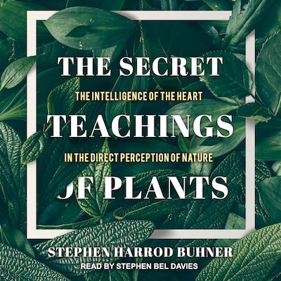 The Secret Teachings of Plants – omslag til lydbogen af Stephen Harrod Buhner