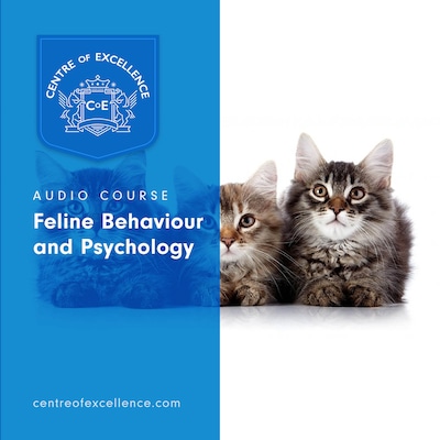 Feline Behaviour and Psychology
