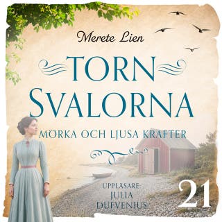 Mörka och ljusa krafter – omslag till ljudboken av Merete Lien
