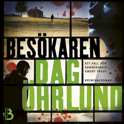 Besökaren