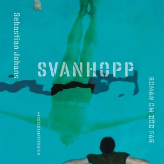 Svanhopp