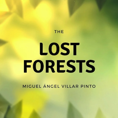 The Lost Forests – omslag til lydbogen af Miguel Ángel Villar Pinto