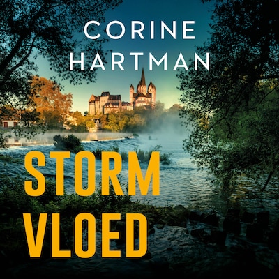 Stormvloed