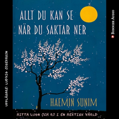 Allt du kan se när du saktar ner : hitta lugn och ro i en hektisk värld