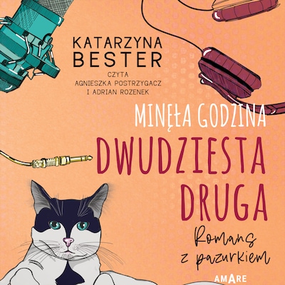 Minęła godzina dwudziesta druga. Romans z pazurkiem – okładka audiobooka, autor Katarzyna Bester