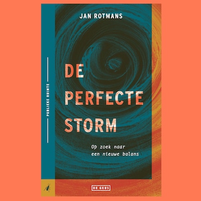 De perfecte storm