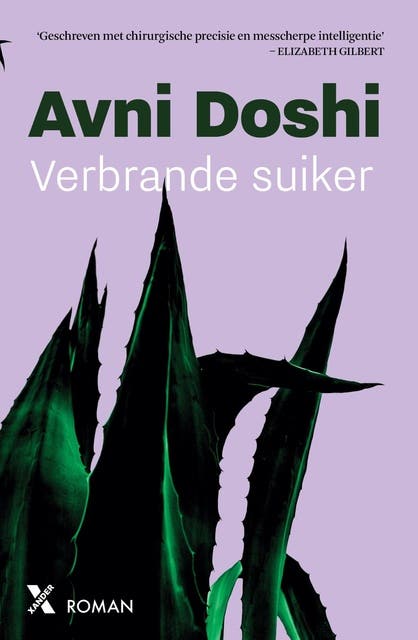 Verbrande suiker – omslag van het luisterboek van Avni Doshi