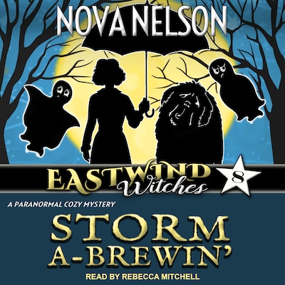 Storm a-Brewin’ – omslag til lydbogen af Nova Nelson