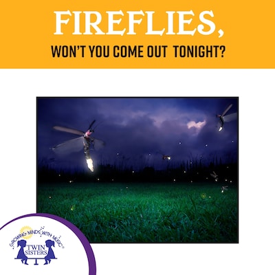 Fireflies, Won't You Come Out Tonight?