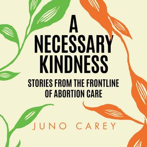 A Necessary Kindness – okładka audiobooka, autor Juno Carey