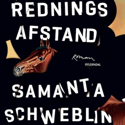 Redningsafstand – omslag til lydbogen af Samanta Schweblin