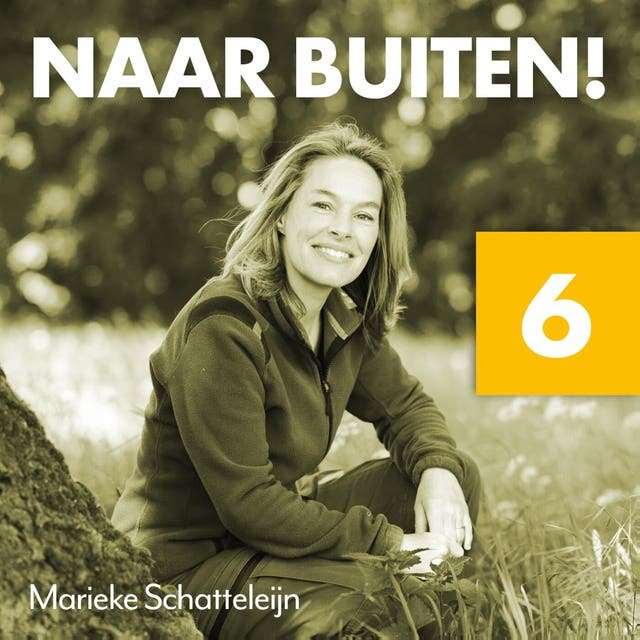 Naar buiten! Hollend door het Drents-Friese Wold 6: Over beweging en hoe de buitenlucht en planten ons gezonder maken – omslag van het luisterboek van Marieke Schatteleijn