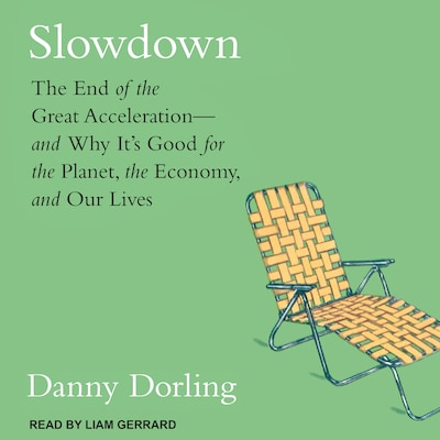Slowdown – omslag til lydbogen af Danny Dorling