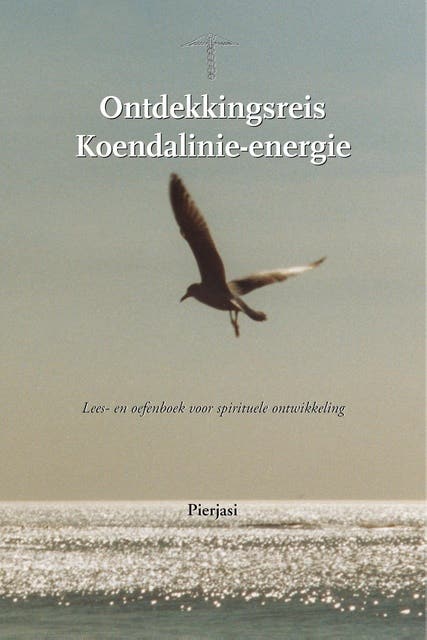 Ontdekkingsreis Koendalinie-energie: Lees- en oefenboek voor spirituele ontwikkeling – omslag van het luisterboek van Pierjasi