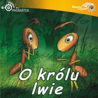O królu lwie – okładka audiobooka, autor Ryszard Adam Gruchawka