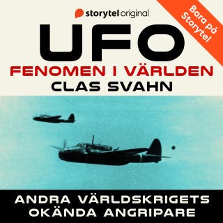 Andra världskrigets okända angripare